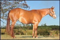 /album/lady-cath-bid-jma/lady-cath-bid-2-jpg/